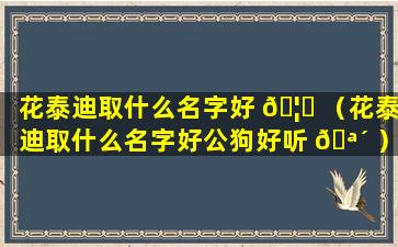 花泰迪取什么名字好 🦍 （花泰迪取什么名字好公狗好听 🪴 ）